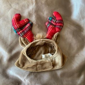 pet reindeer hat